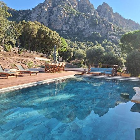 Appartement Jardin Et Piscine Les Anges Du Maquis Location Corse-Du-Sud Conca Exterior foto